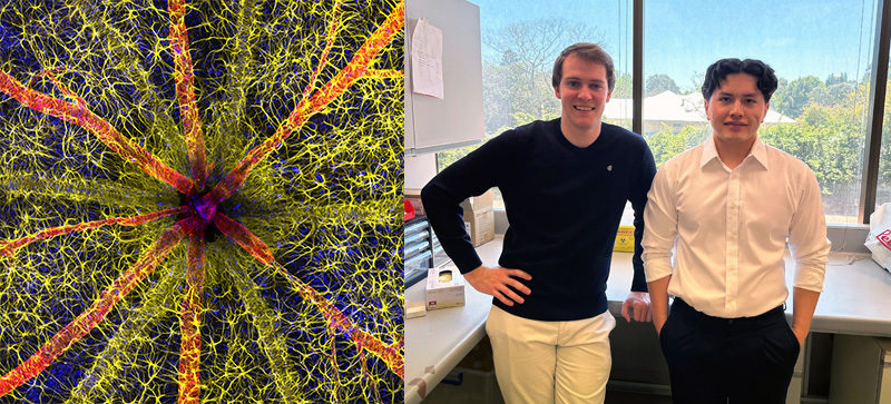 NikonInst's tweet image. New #MastersofMicroscopy features Hassanain Qambari, winner of this year’s #NikonSmallWorld photomicrography competition with his stunning image of a rodent optic nerve head, acquired as part of his research into diabetic retinopathy: bit.ly/3PCLyO9

#Microscopy #Imaging