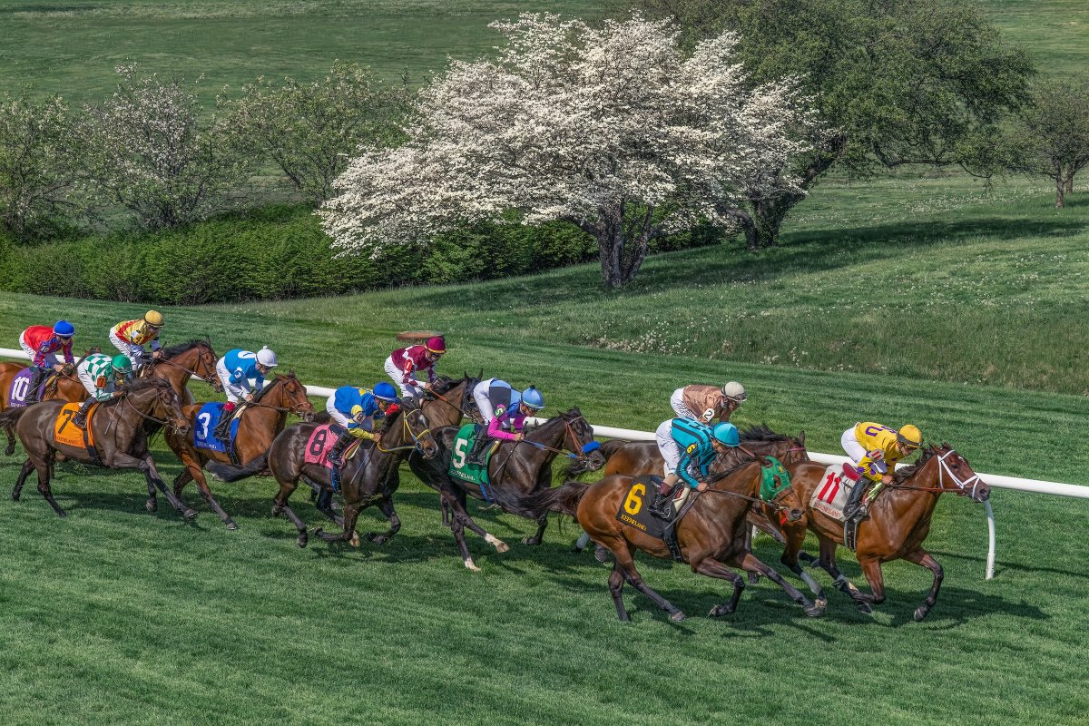NEWS: Keeneland Spring Meet Opens Friday, April 5 with Nods to Track’s Storied Past and Exciting Future. Read more → bit.ly/4cB8ozo