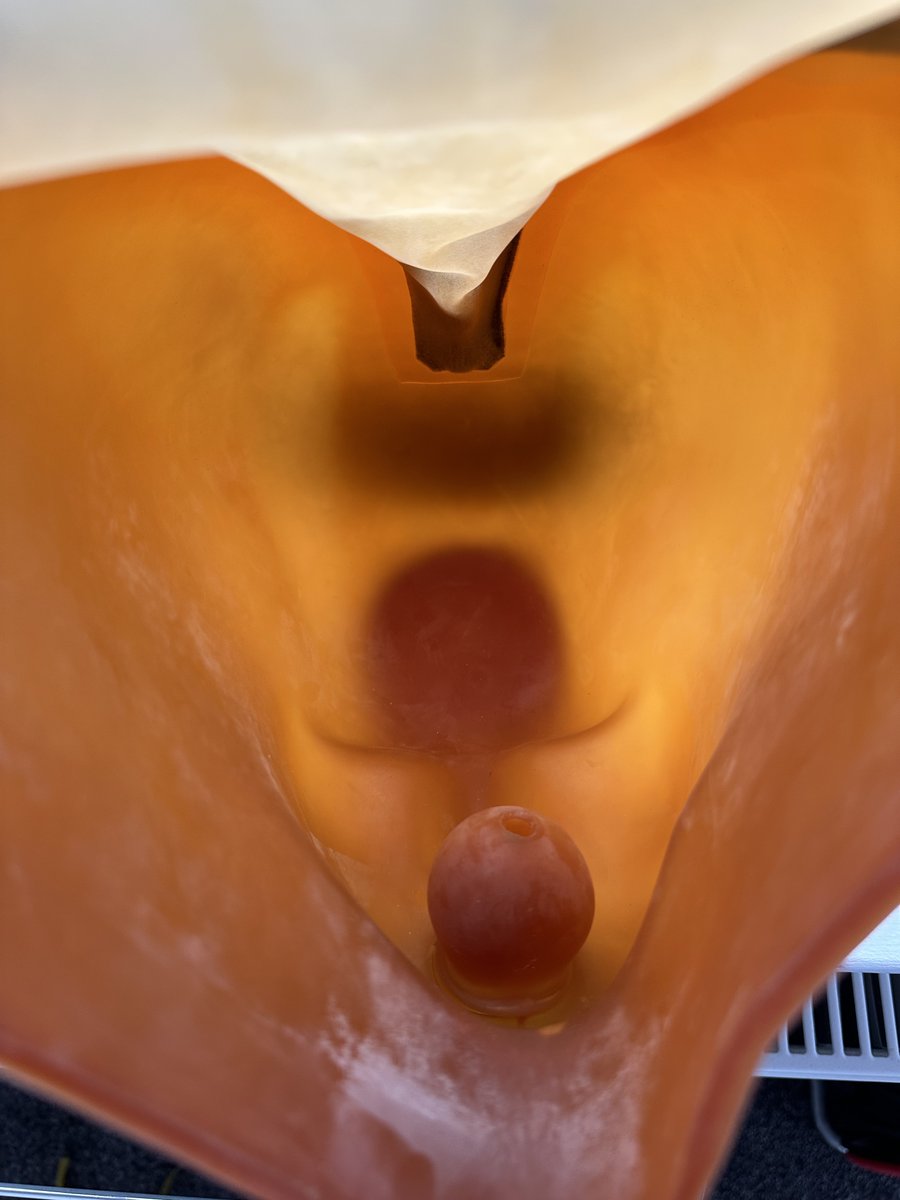 jacketbound tweet media