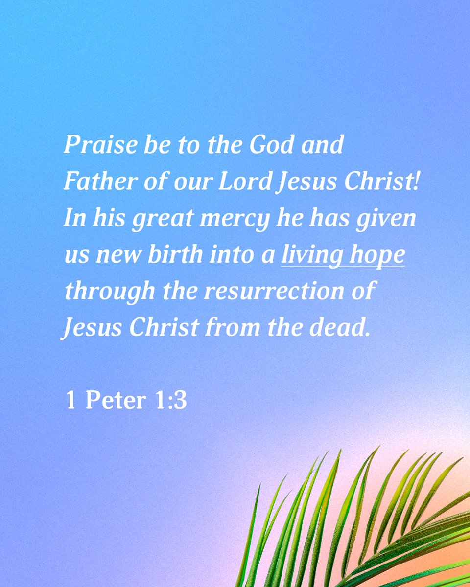 SecureGive tweet media