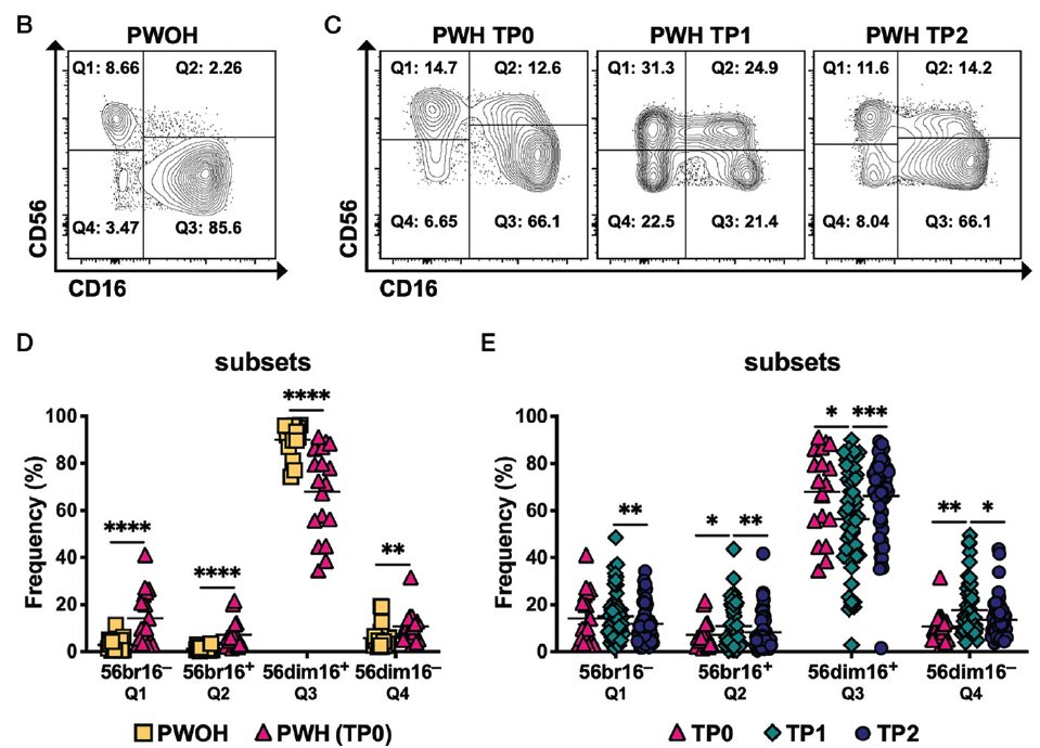 Waggoner Lab (@labwaggoner) on Twitter photo Skewed repertoire of cytokine unresponsive FcRγ– memory-like NK cells & overall increase in NK surface expression of CD57 and KLRG1 persists in people living with HIV despite long-term ART <a href="/LabMailliard/">The Mailliard Lab</a> <a href="/J_Immunol/">The Journal of Immunology</a>
doi.org/10.4049/jimmun… Skewed repertoire of cytokine unresponsive FcRγ– memory-like NK cells & overall increase in NK surface expression of CD57 and KLRG1 persists in people living with HIV despite long-term ART <a href="/LabMailliard/">The Mailliard Lab</a> <a href="/J_Immunol/">The Journal of Immunology</a>
doi.org/10.4049/jimmun…