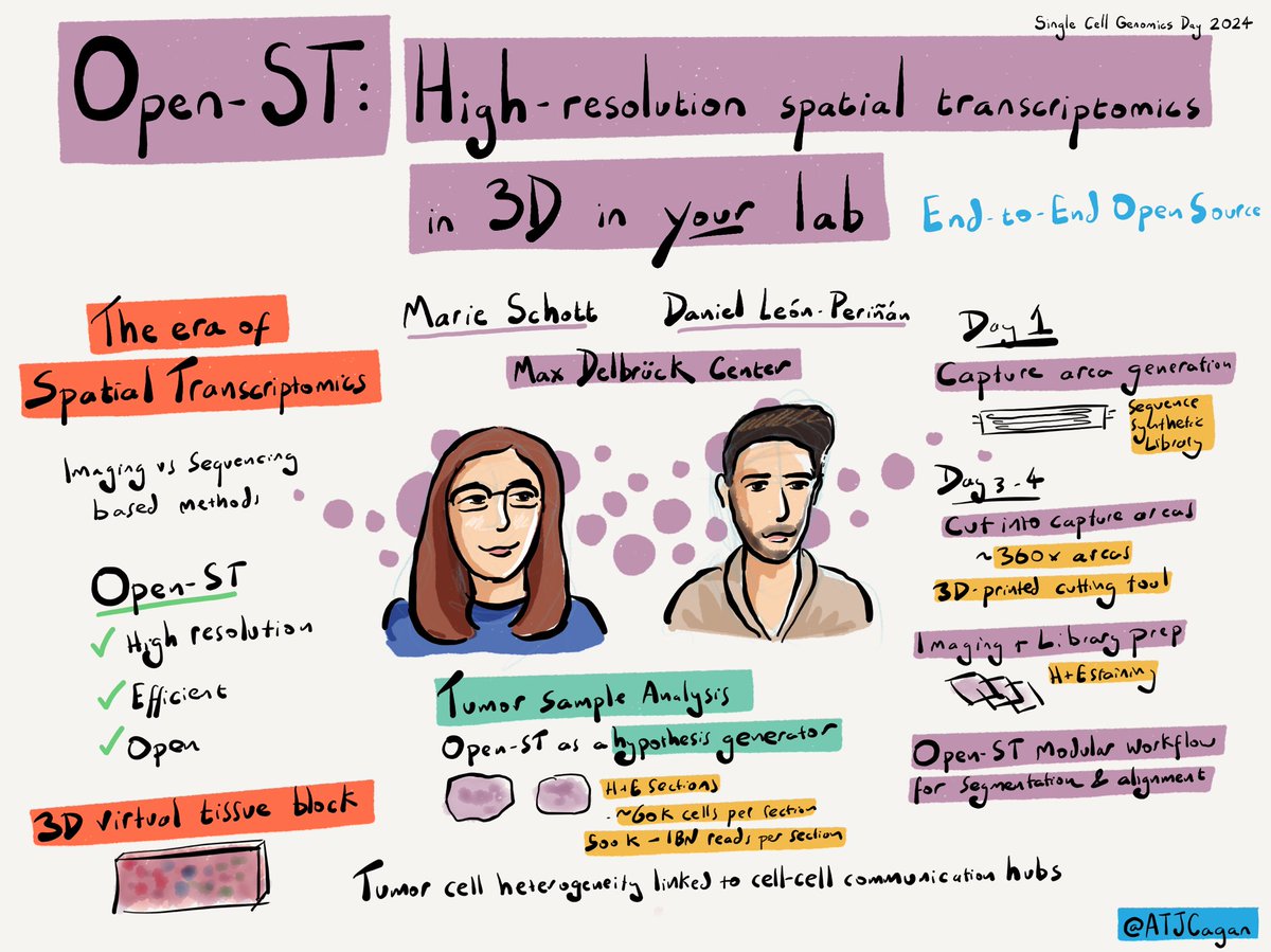 Marie Schott and Daniel Leon-Perinan on Open-ST: high-resolution spatial transcriptomics in 3D at #singlecellgenomicsday