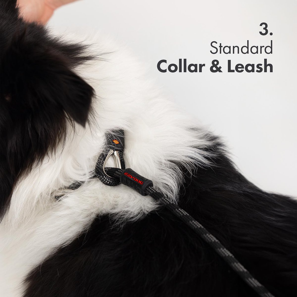 The Luca Leash is a highly effective training accessory for ensuring control and comfort when teaching your dog walking etiquette. #sliplead #slip #ezydog #dog #doglead #lead #ropelead