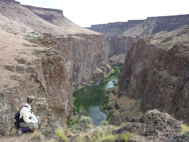 Join us in celebrating Bonnie Olin, the final #WomanoftheOwyhee of our series honoring #WomensHistoryMonth. Read our full series for stories on Bonnie, Sarah Winnemucca, Julie Weikel and Judy Trejo: onda.org/women-of-the-o… 

#ProtecttheOwyhee #OwyheeCanyonlands #WomenoftheOwyhee