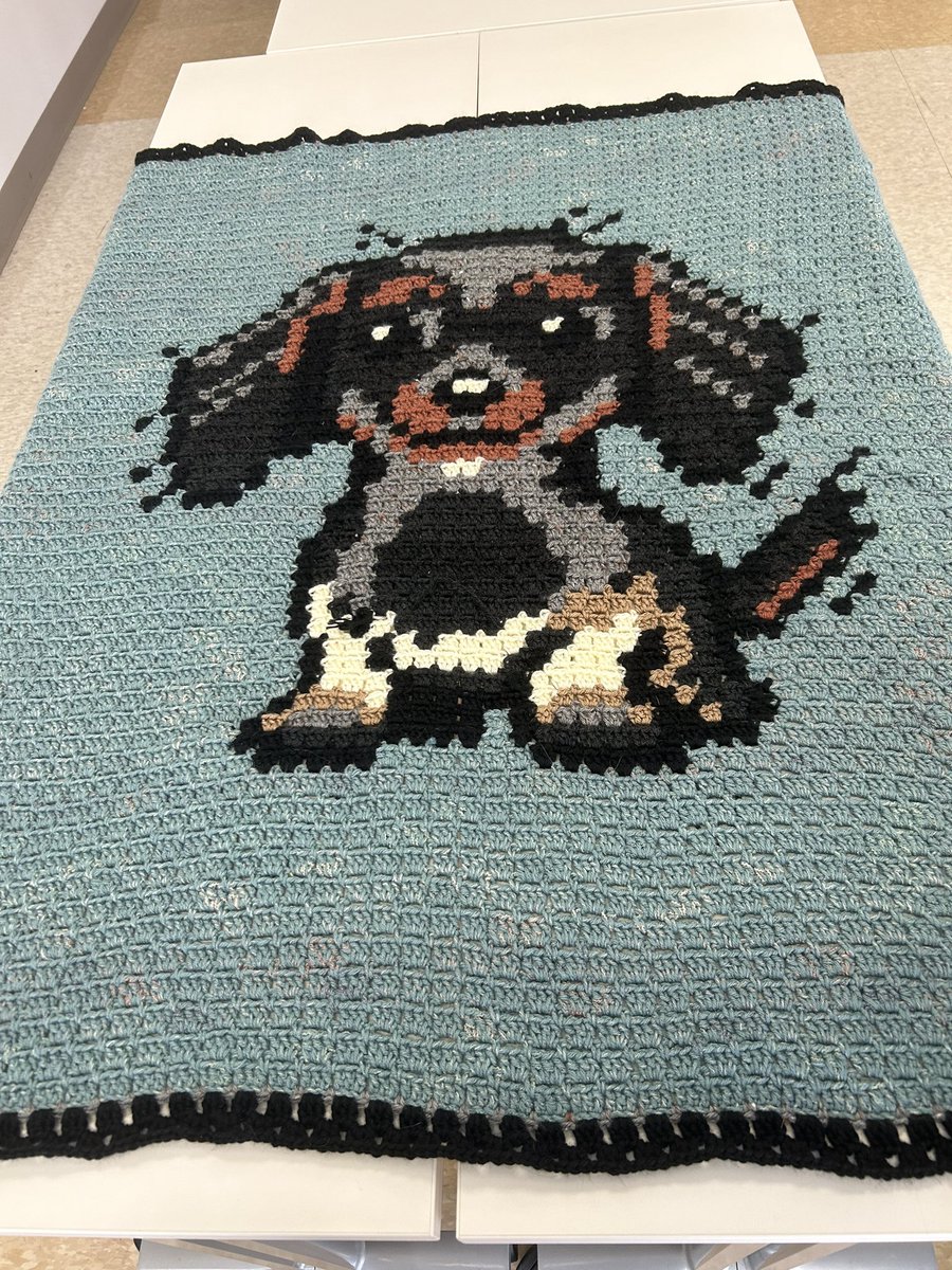 MrsKaderbeck's tweet image. I typically don’t take these kinds of requests, but I could not say no to that adorable face. The color contrasts on the blanket are better in real life. I took this in my work break room that has the best lighting. #crochet #graphghan #dachsund #dachsie #nerdcrafts