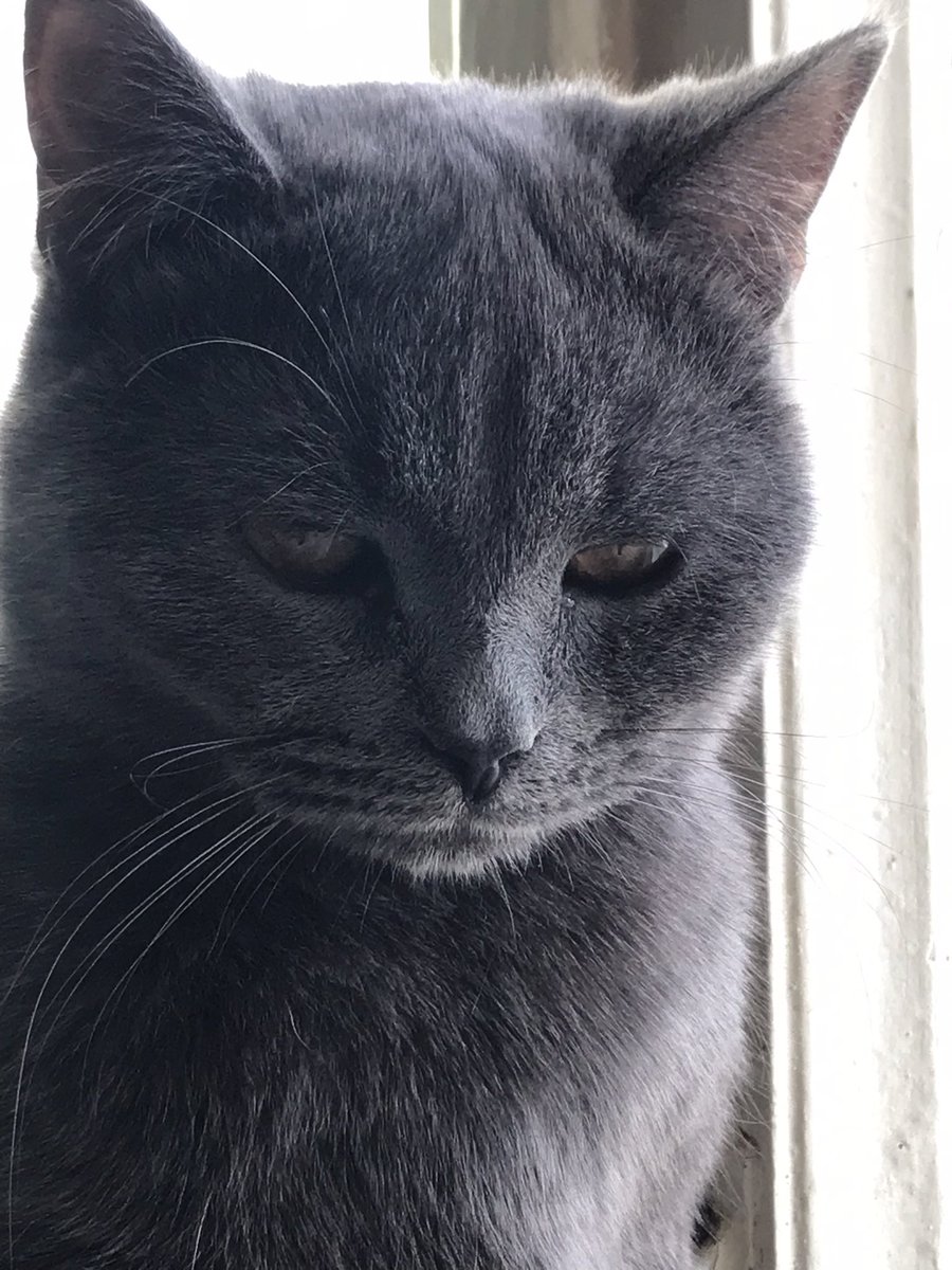 Его зовут Пузик.