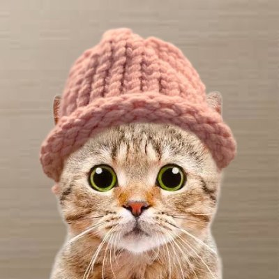 JakeGagain's tweet photo. Dog $Wif Hat Just Flipped $PEPE &amp; Hit A 4 Billion+ Market Cap Today. 

$CATWIF Had An Impressive Launch Yesterday &amp; Is Sitting Around A 9m Market Cap. Is @CatWifHat_SOL The Next Sendor On Solana?! 

CA: Avb1PBRudW7uUV9MqTUqfZ3EZTDvNkKS63W3wyPseudf https://t.co/NsyvN9RuR9