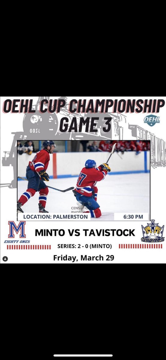 Minto 81's tweet media