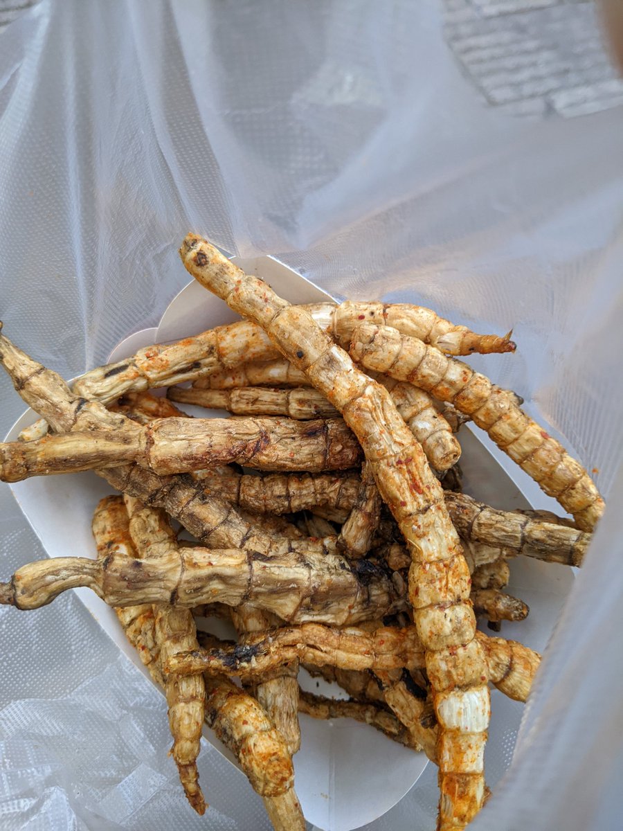 BlueHeartsUWS's tweet image. Deep fried #Ginseng
I don't hate it but I would have preferred to have an option to try a piece 😂
#Kunming #KunmingOldStreet 

#揚げ高麗人参
一本試す事が出来ればそれだけで良かった😂
#昆明老街