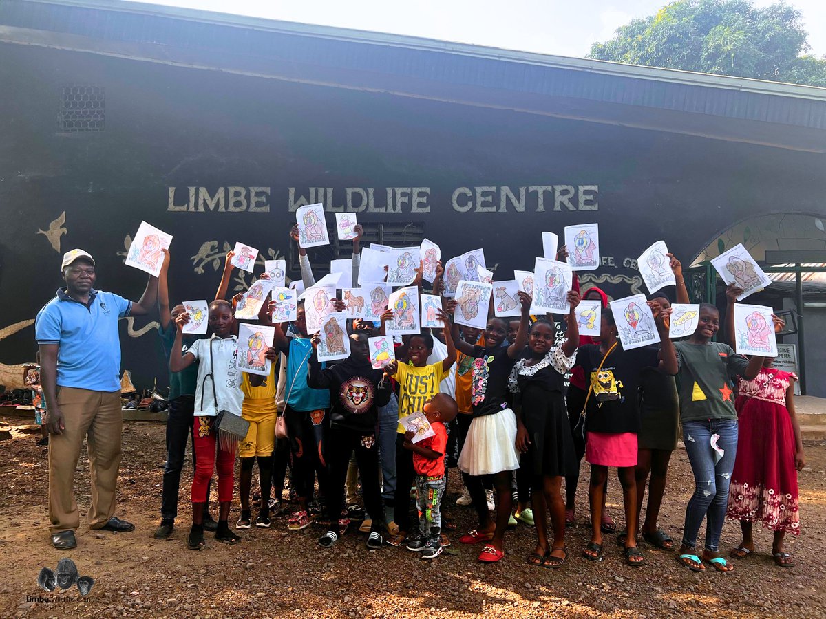 Our Saturday Nature Club at the Limbe Wildlife Centre is empowering local kids to explore their fascination with nature with fun and educational activities. Take a look at the incredible mandrill drawings they've created! 🌿🌍