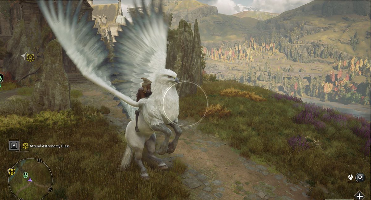 ANASTASIAD89111's tweet photo. This flight was crazy!
#AnastasiaDiscovery #HogwartsGameplay #AstronomyClass #Walkthrough #HarryPotter #gaming https://t.co/BrNUelTqZm