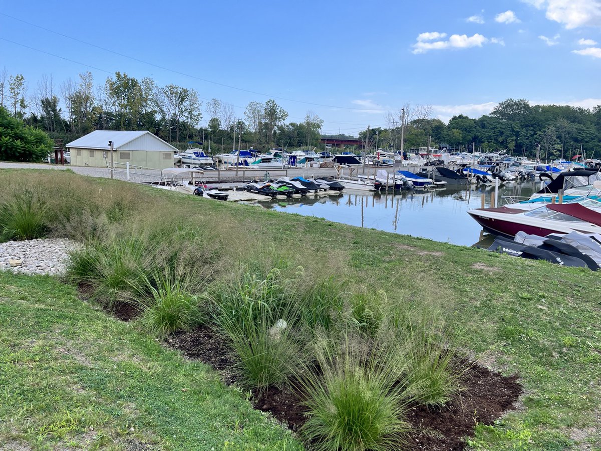 Great Lakes marinas are implementing green infrastructure to reduce stormwater runoff. It's all part of a Sea Grant project making big impacts with demonstration sites, an online toolkit, and water quality monitoring research. 

Read more: ohioseagrant.osu.edu/news/2024/ejco…