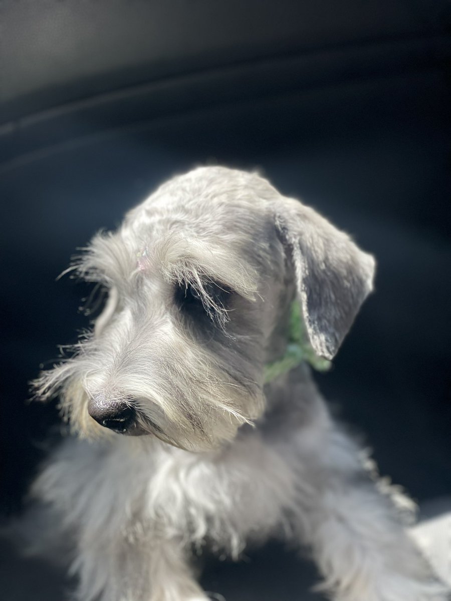 hernainpm's tweet image. Ojalá mami pudiera verte 💔 Sandi