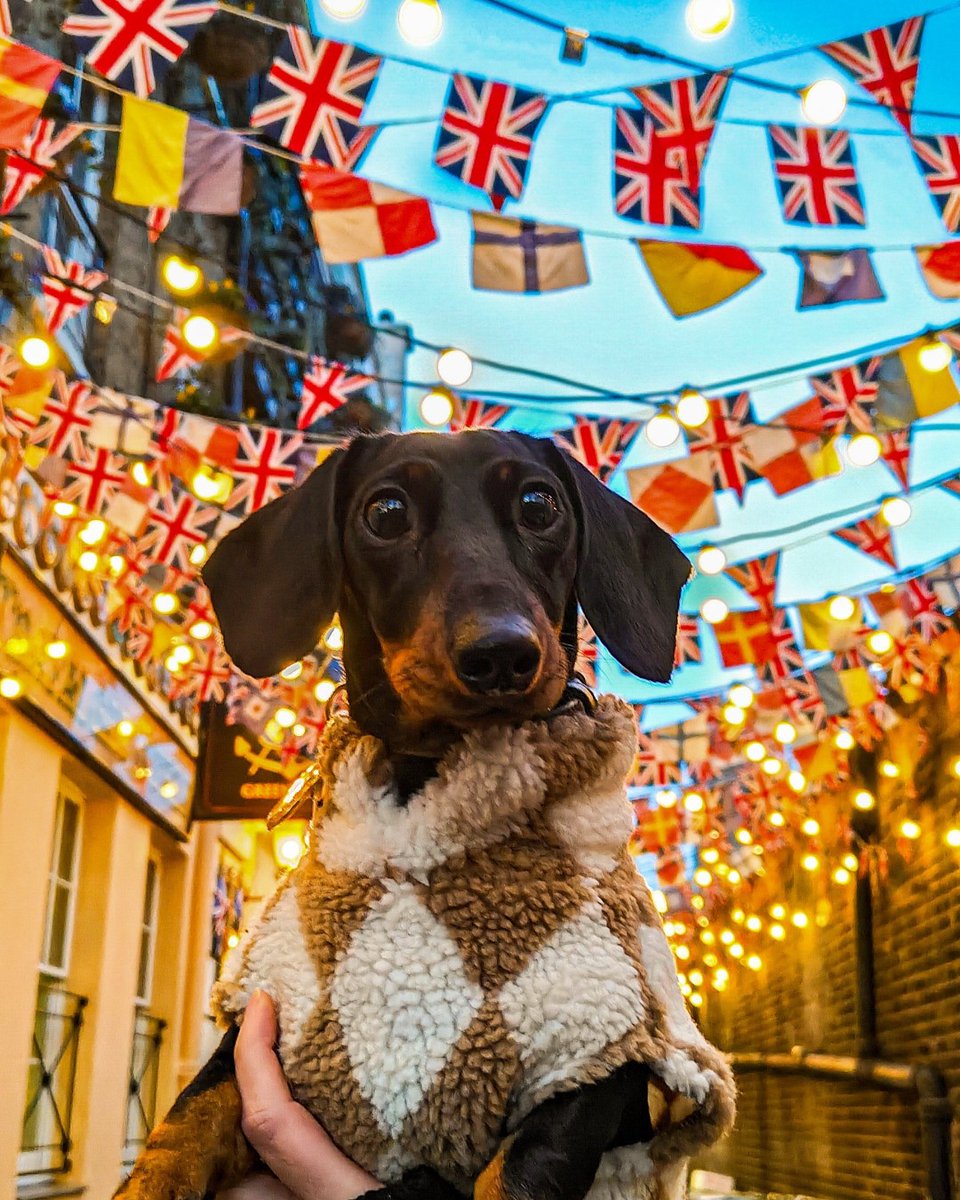 @pennythelittlesausage is ready for the weekend and celebrating at @trafalgartaverngreenwich 😍 Don't forget to tag #GreenwichPeninsula in your pictures for your chance to feature on our page. #GreenwichPeninsula #Greenwich #InstaPuppy #DogPics #SELondon #VisitGreenwich