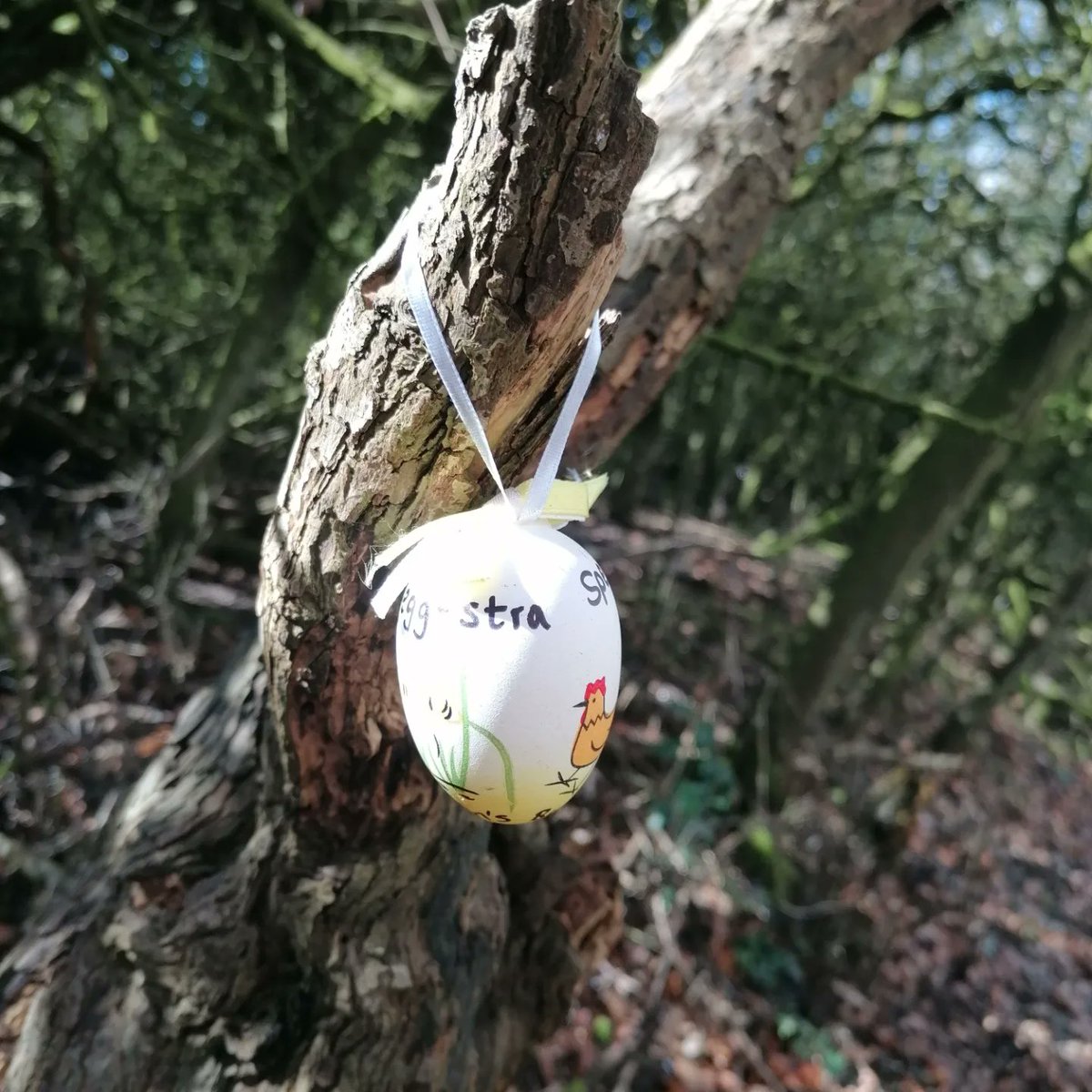 evelyn_b_effect's tweet image. Easter is a difficult time for us. Tried 2pull ourselves out of our grief-pit by going for walk&amp;amp; spreading a little love&amp;amp; kindness with some pun-tastic Easter eggs. Hope they make someone smile
#evelynsbutterflyeffect #youareeggstraspecial #dontworrybehoppy #theresnobunnylikeyou