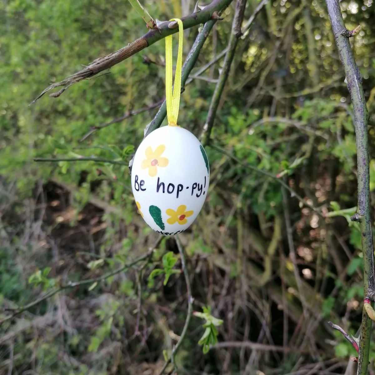 evelyn_b_effect's tweet image. Easter is a difficult time for us. Tried 2pull ourselves out of our grief-pit by going for walk&amp;amp; spreading a little love&amp;amp; kindness with some pun-tastic Easter eggs. Hope they make someone smile
#evelynsbutterflyeffect #youareeggstraspecial #dontworrybehoppy #theresnobunnylikeyou
