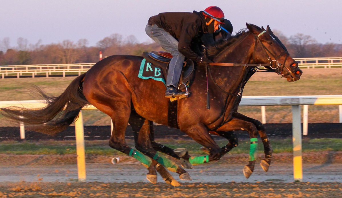 Planet Clare looking the part this morning under @VCarrasco28 in her final work before debut ⭐️ @BlueStreakLLC @VCRacingStable @l 📸: @MinaHaug