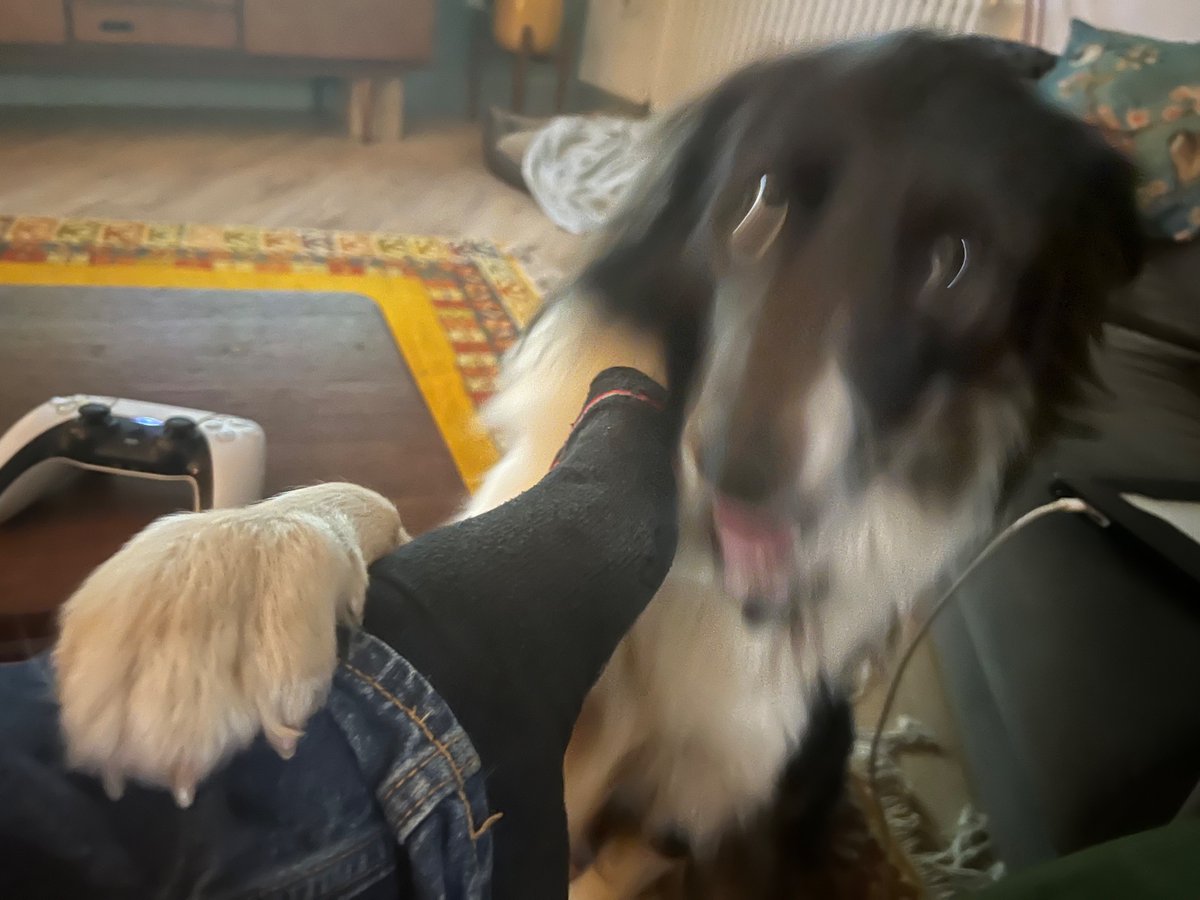 Goofy Bully
Making me walk