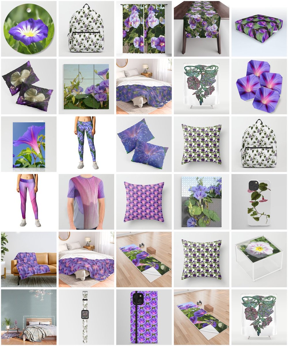 I found this collection on Society6! MORNING GLORIES OR IPOMOEA FLOWERS (26 items)
#Ipomoea signifies a #love never ended, #September #birthflower, 11th #anniversarygift  #MothersDay  #mothersdaygift 
society6.com/taiche/collect…