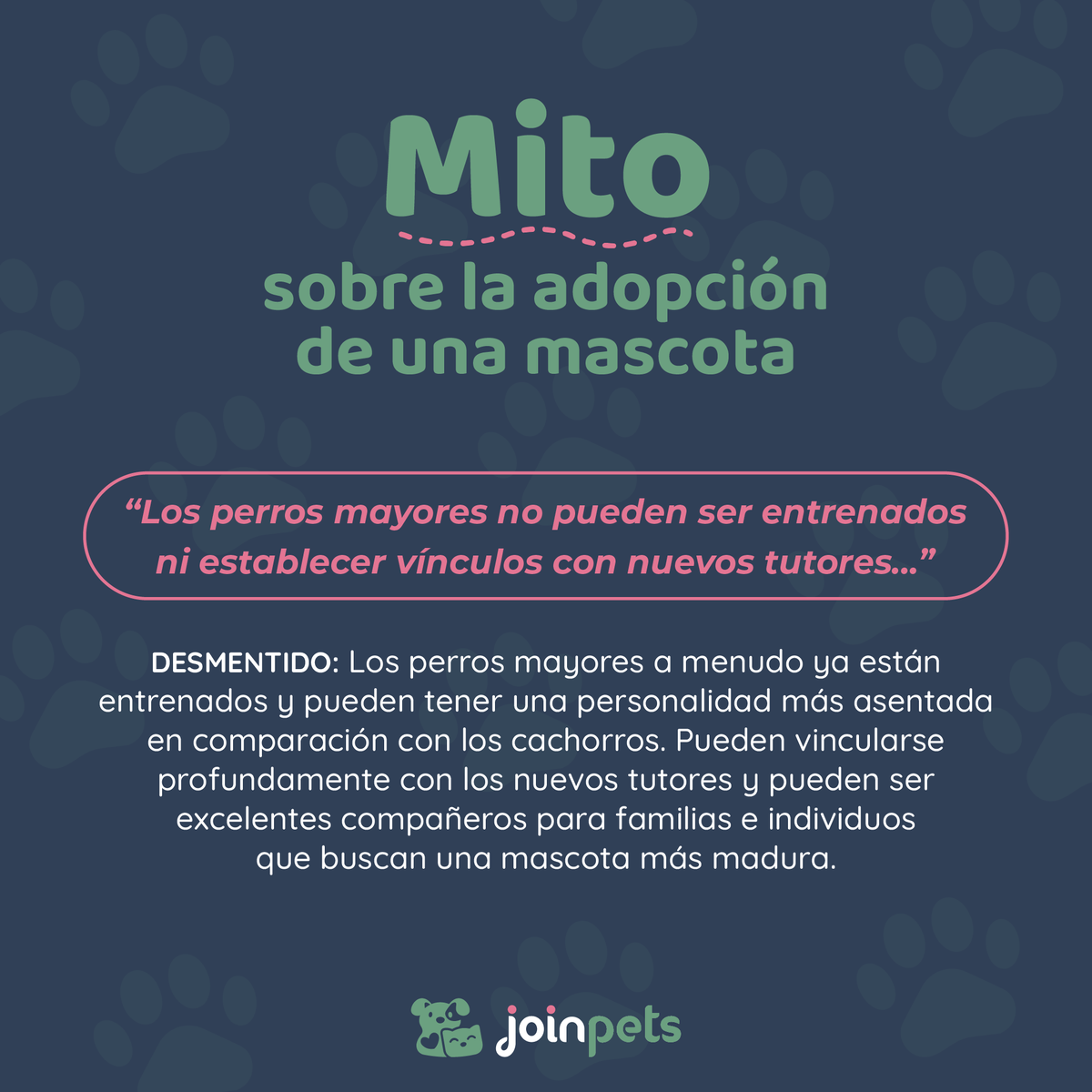 🐾 ¿Alguna vez escuchaste que al adoptar un perro mayor es imposible establecer vínculos con él? 🐶

🚫 Este es un mito sobre la adopción de mascotas mayores.

#adoptanocompres #perros #gatos #amantesdeperros #mascotas #adopta #ayuda #rescateanimal #solidaridad #mito