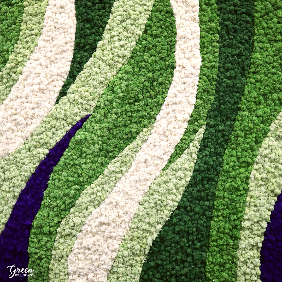 Love this unique green, purple and white design. So mesmerizing!
.
.
.
#greenwallscapes #mosscompany #mossart #mosswalls #moss #preservedmoss #biophilicdesign #plantart #plantwall #livingwall #customart #homedecor #officedecor #hgtv #customdesign #interiordesign #walldecor