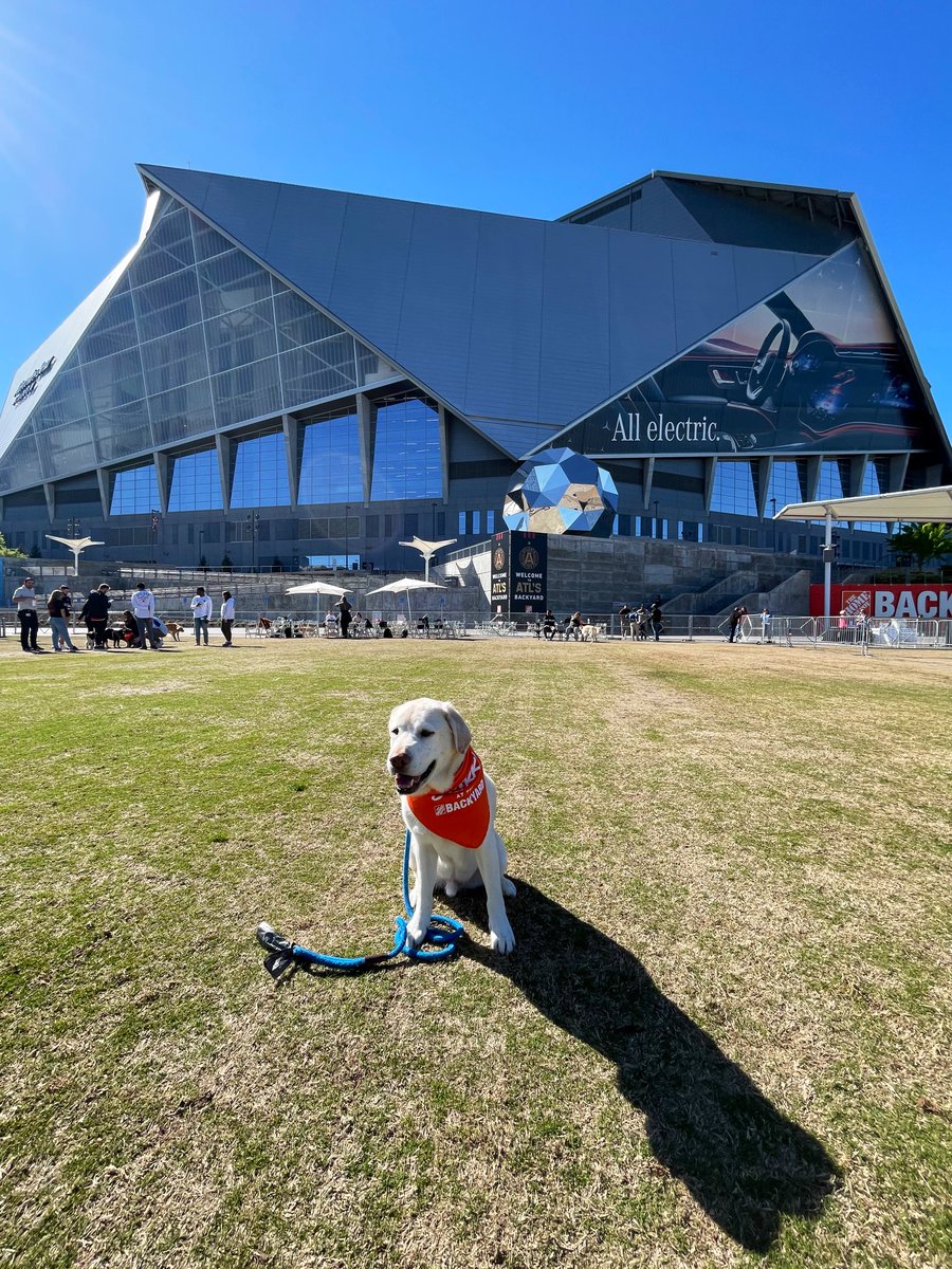 Obligatory #bringyourdogtowork day post 🦮💙🏟️