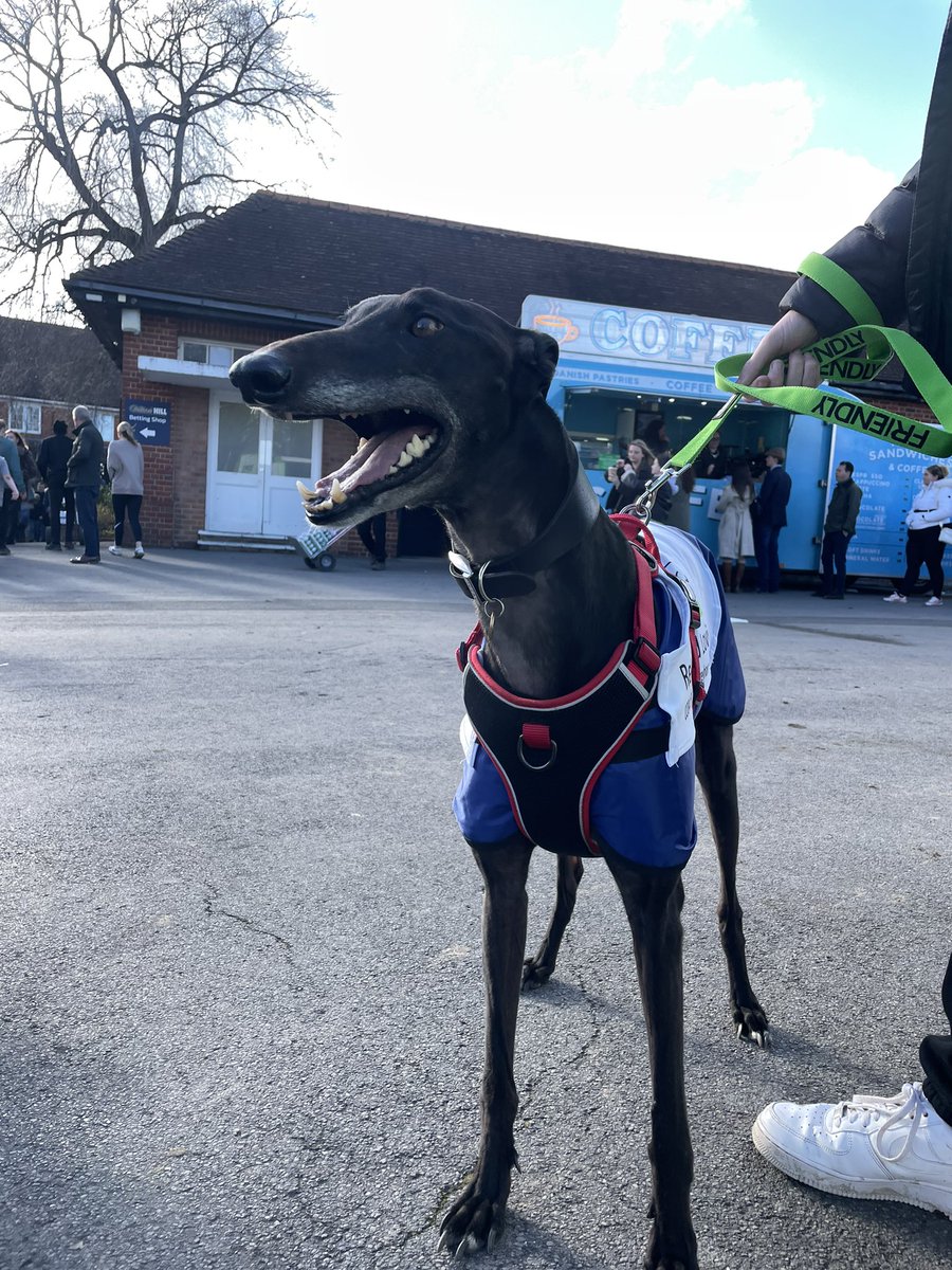 Great to have the @greyhoundtrust on course with us today at #VaseDay. If you’re with us today, go pay them a visit next to the Paddock 🐾