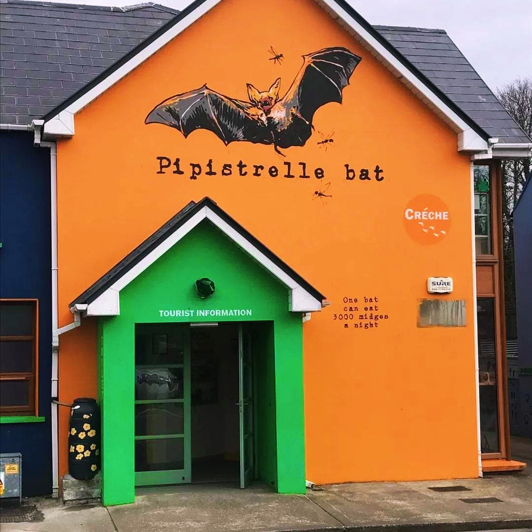 We are delighted to sponsor not one but TWO Special Awards for @TidyTownsIre this year 👇 We want #bats to take centre stage! 🦇 //www.tidytowns.ie/competition/2024-special-award-entry-forms/