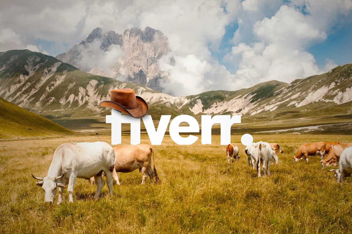 Fiverr tweet media