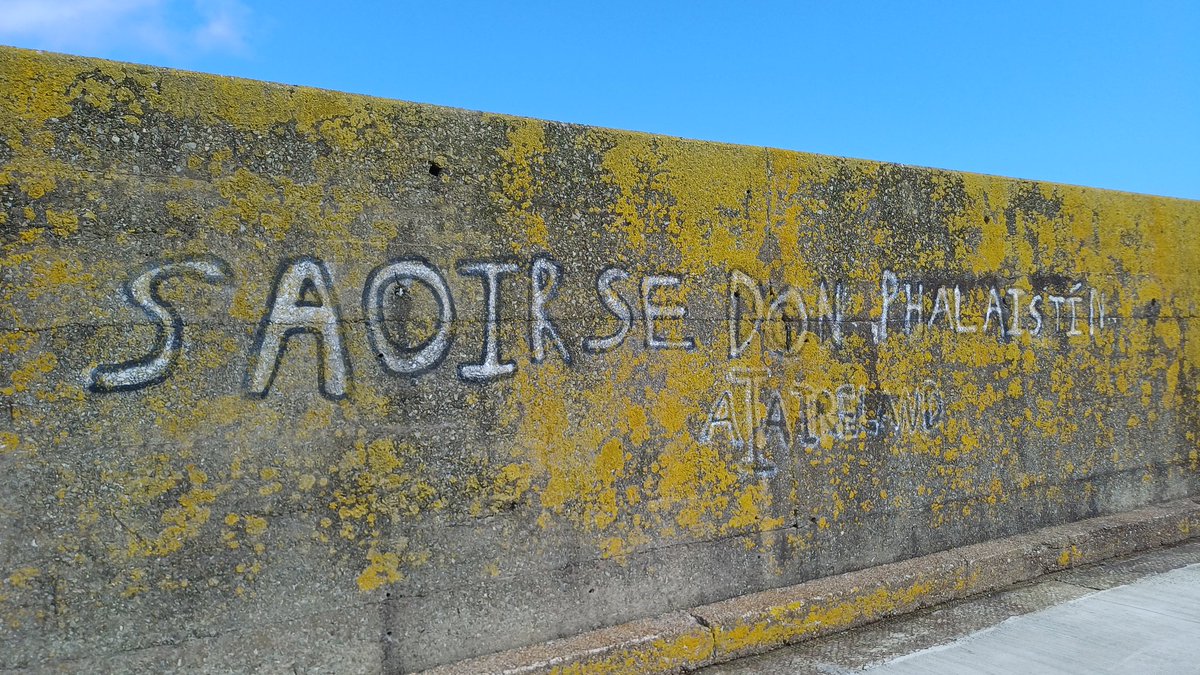 Teachtaireacht ó Ché Helbhic
#saoirsedonphalaistín #FreePalesine