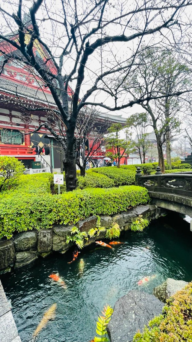 Notyetlanguage's tweet image. #ハッピーイースター！#부활절 잘 보내세요! #复活节快乐 Sretan #Uskrs! Happy #Easter! Joyeuses #Pâques ! Buona #Pasqua! ¡Felices #Pascuas! Feliz #Páscoa ! Frohe #Ostern! С праздником #Пасхи! ©Photos by Enbe Language School, Japan, March 2024