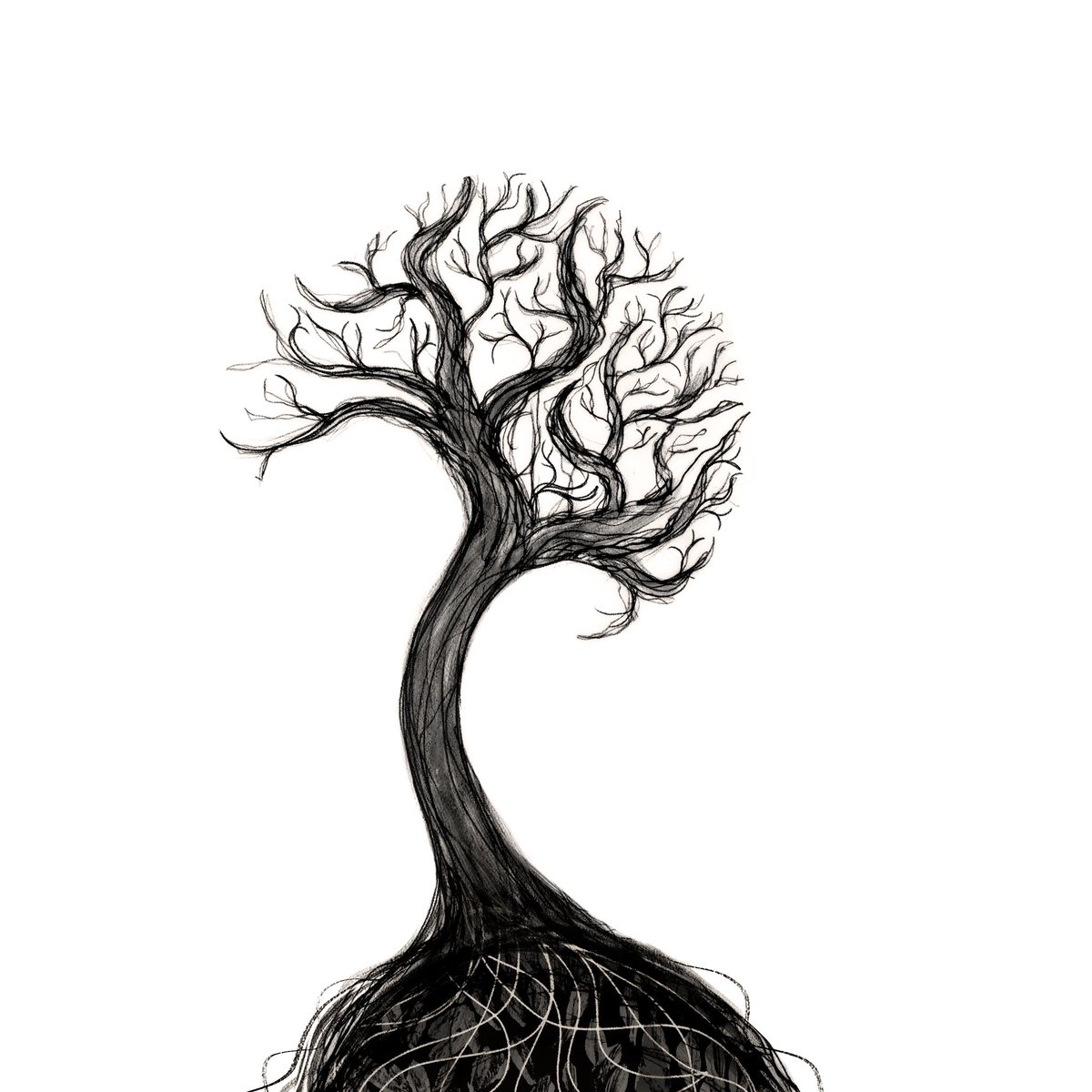 Ali Hutton tweet media