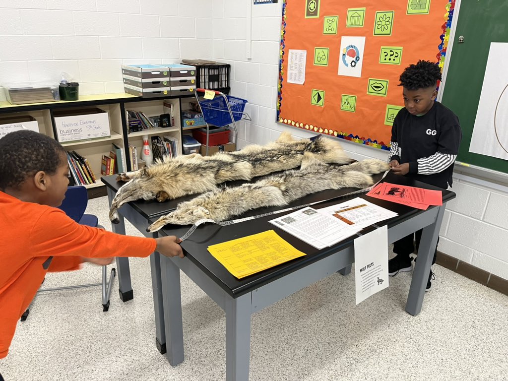 Thank you Mr. Brown for a great experience exploring the “Wolf Trunk” <a href="/BNESeagles/">BirdneckES</a> <a href="/BirdneckES1/">Birdneck ES</a> <a href="/KarlaYo78612102/">Karla Young</a>