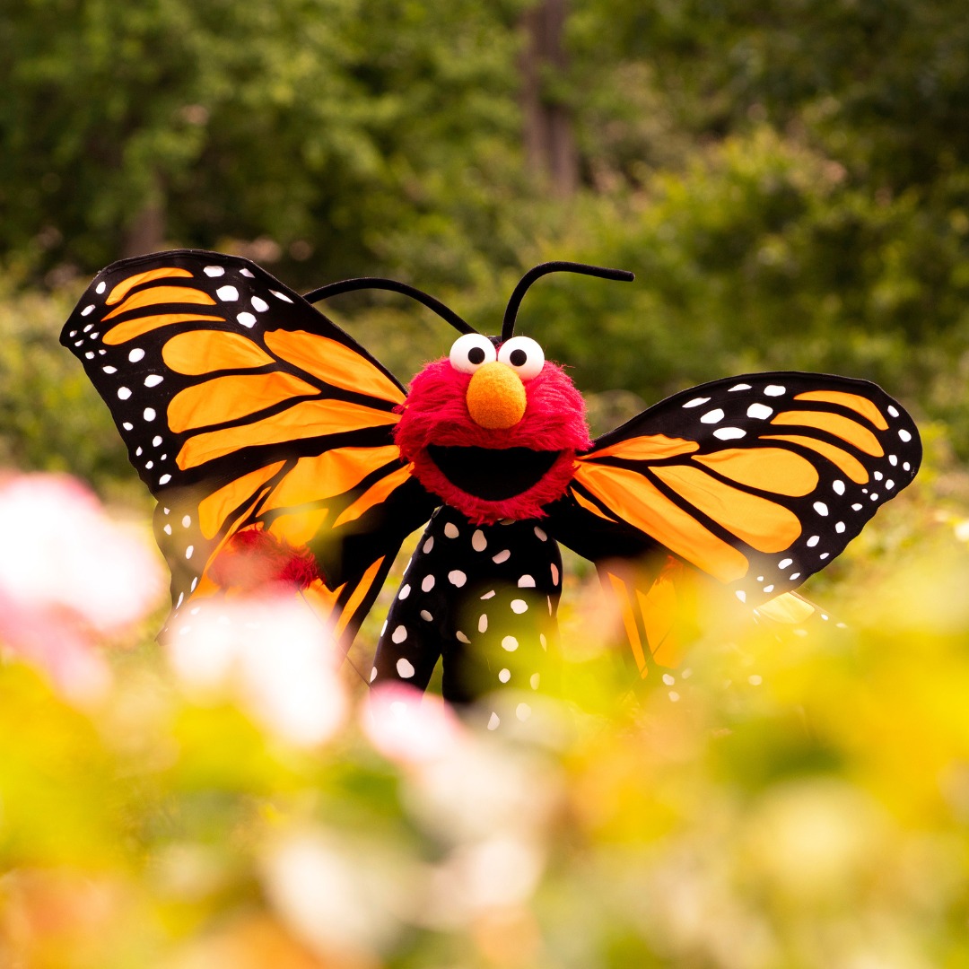 GJ2ghN3aoAAMUKs.jpg?format=jpg