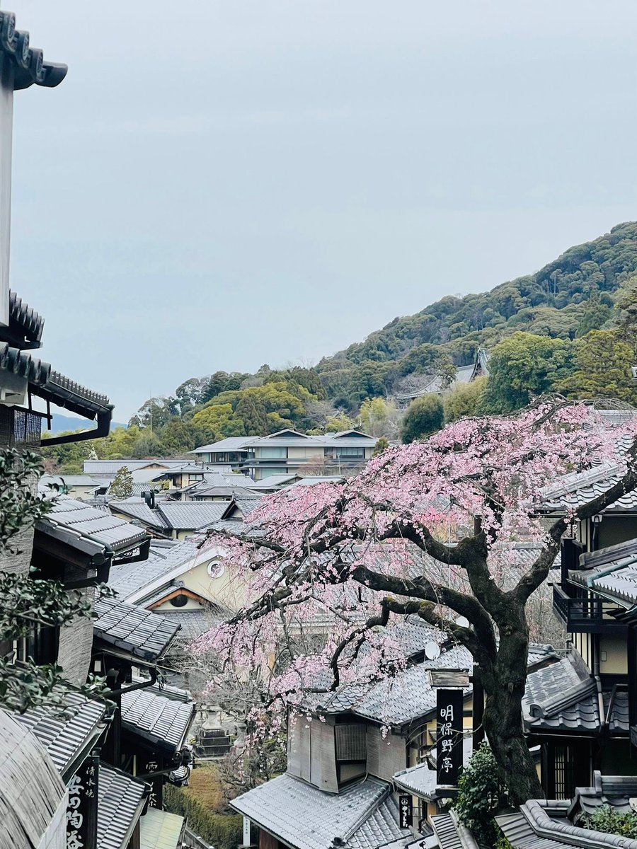 Notyetlanguage's tweet image. #ハッピーイースター！#부활절 잘 보내세요! #复活节快乐 Sretan #Uskrs! Happy #Easter! Joyeuses #Pâques ! Buona #Pasqua! ¡Felices #Pascuas! Feliz #Páscoa ! Frohe #Ostern! С праздником #Пасхи! ©Photos by Enbe Language School, Japan, March 2024