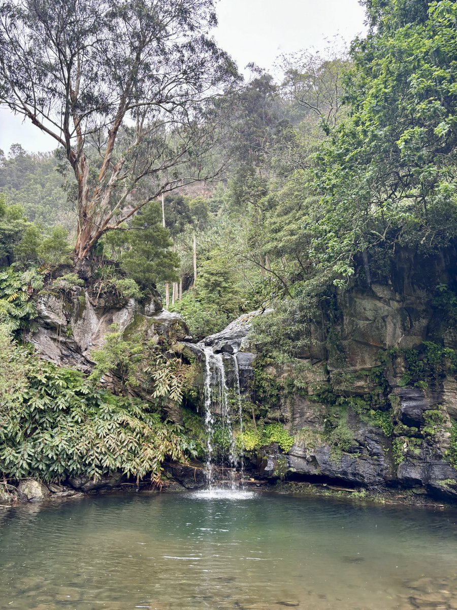 Trinity Geography tweet media