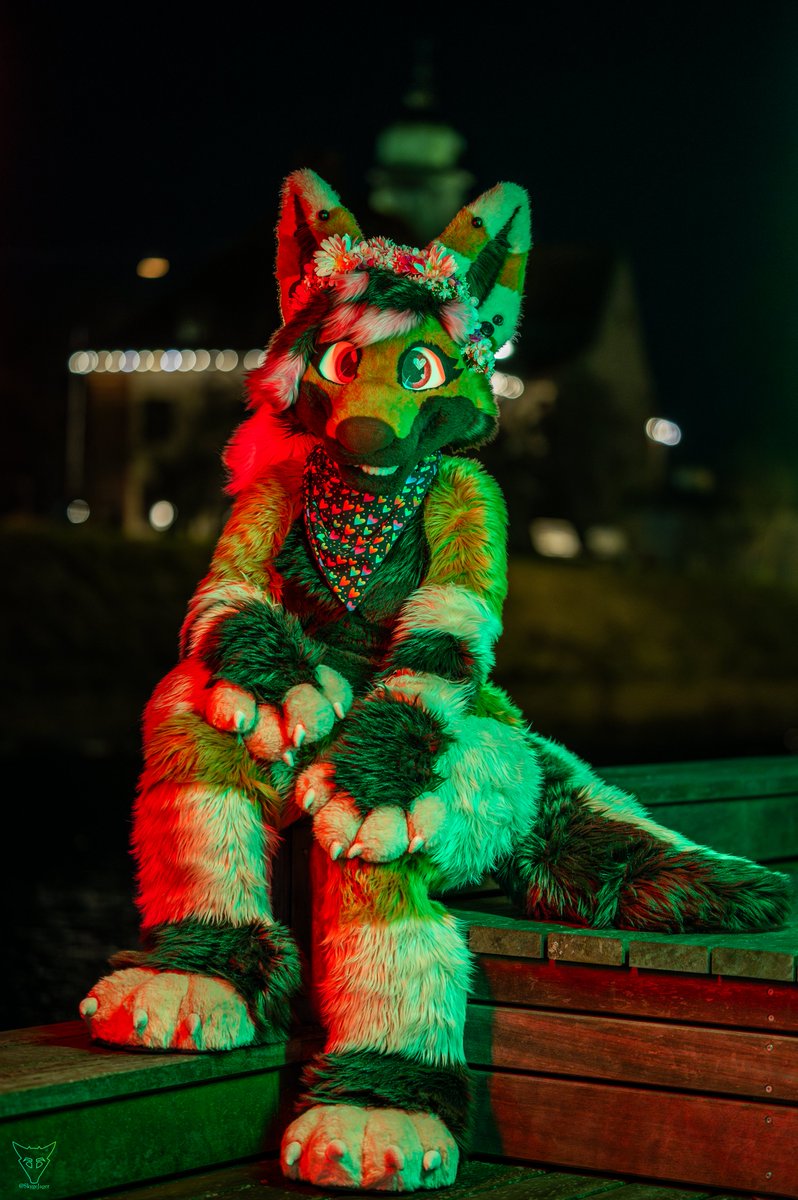 Happy #fursuitfriday everyone! 🌸 Hope y'all have a nice Easter weekend!🐰 ____ Zane belongs to me 🐺💕 Suit made by @MiesdoCreations🐭💙 📸: @skygejager 🐺💚