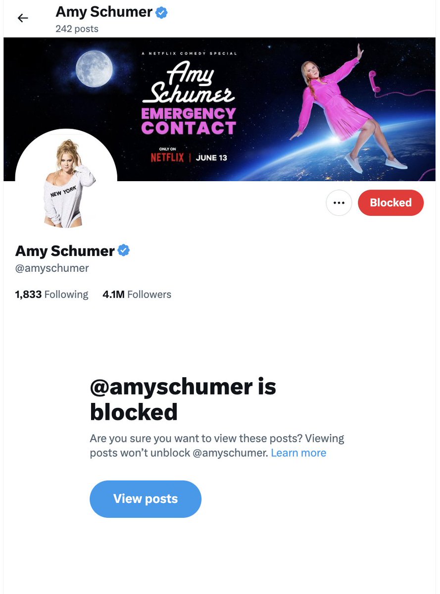 Jolene is not on Twitter so I blocked Amy Schumer instead