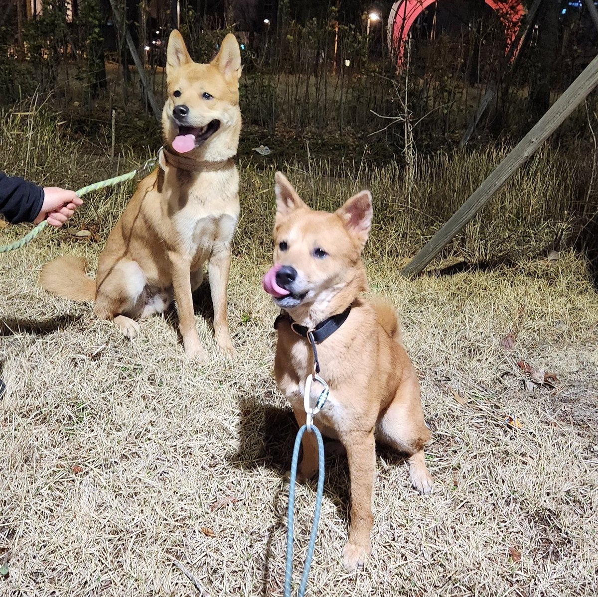 ㅜㅜㅜ 가까운데 살고 있었어!