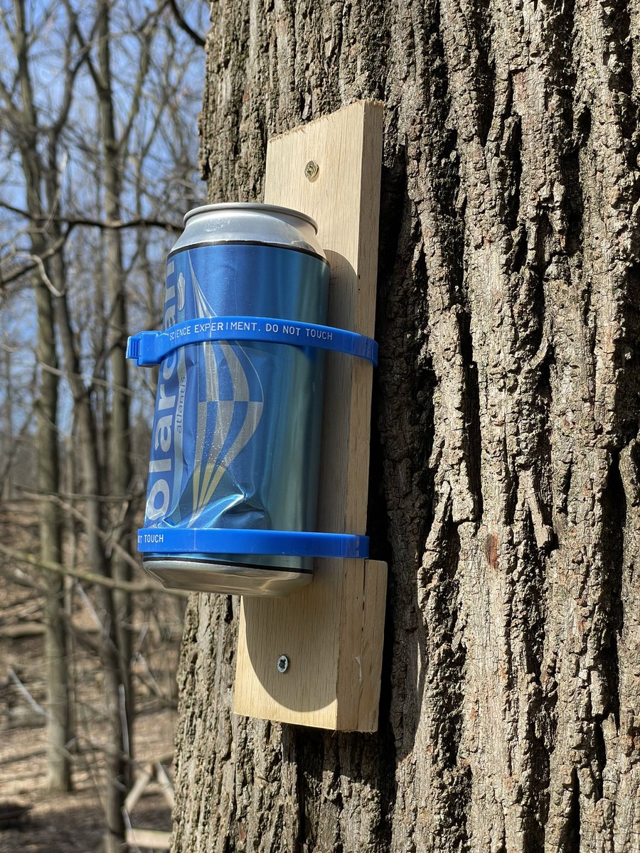 I had a few @TheSolarCan Colour cans to install, so I did that today before the trees leaf out. I also wanted to get an angle upwards as we near the solstice so I made a crude stand that I could drill into trees. Time to wait a few months…