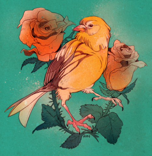 「Sun-gold bird among roses 」|Ren 🐦のイラスト