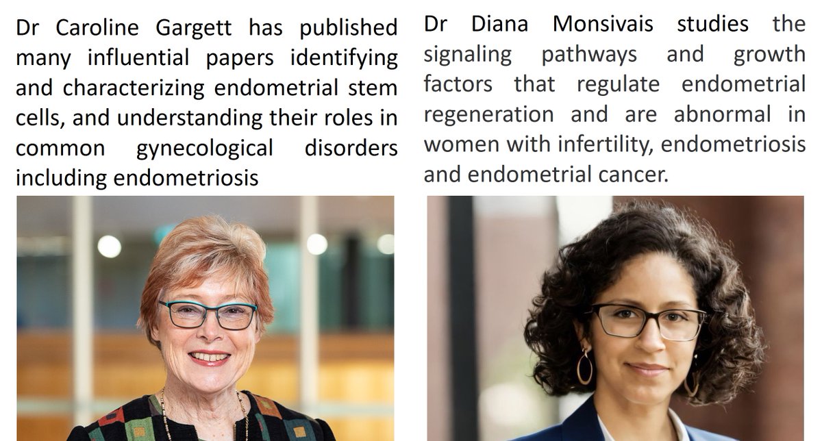 WinRS (@winrs_ssr) on Twitter photo How it started vs how its going: endometriosis
#WomensHistoryMonth2024 #WinRS #WomeninRepro <a href="/GargettLab/">Caroline Gargett</a> <a href="/dmonsi312/">Diana Monsivais PhD</a> How it started vs how its going: endometriosis
#WomensHistoryMonth2024 #WinRS #WomeninRepro <a href="/GargettLab/">Caroline Gargett</a> <a href="/dmonsi312/">Diana Monsivais PhD</a>