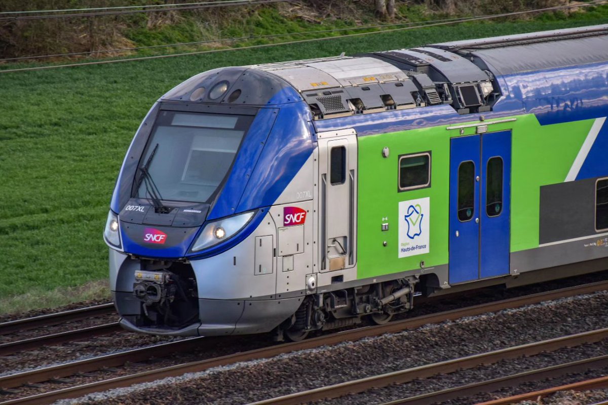 MOUTON_ferro's tweet image. Insecte...heu...regio en gros plan...

#regio2n #terhdf #terpicardie #ter