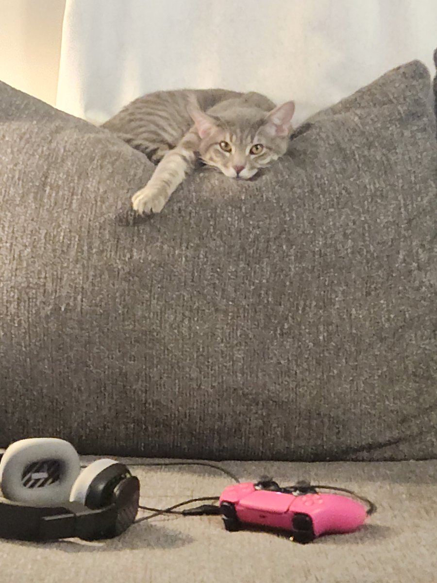 NotSimplyHuman's tweet image. 