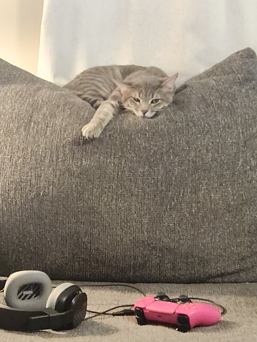 NotSimplyHuman's tweet image. 