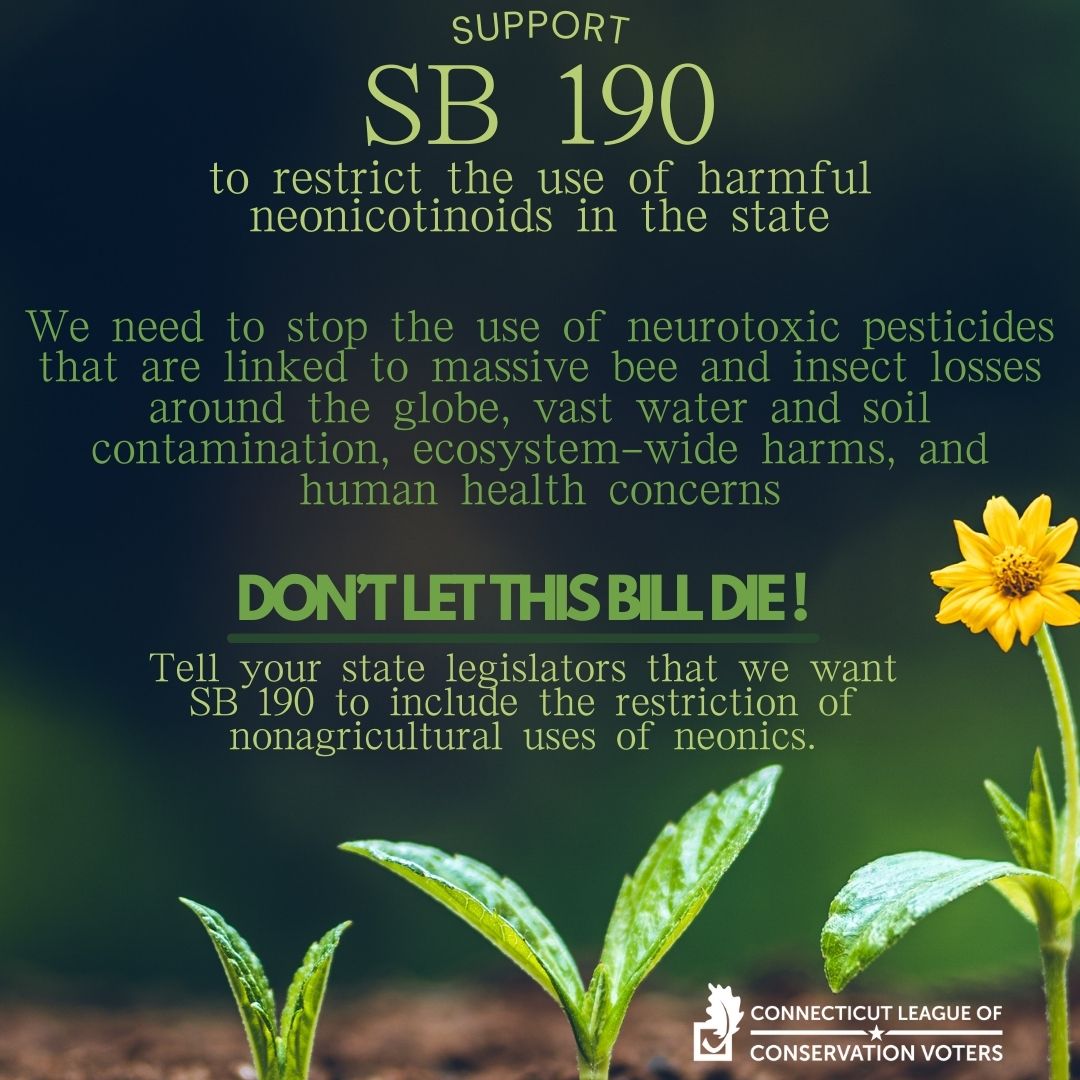 ctlcv1's tweet photo. Attention!! 🚨 SB 190 has not moved out of the environment committee. We need YOU to let your legislators and the environment committee know that Connecticut wants this bill! 🗣 The nonagricultural use of neonics needs to be restricted. #connecticut https://t.co/2aaTHsIqYa