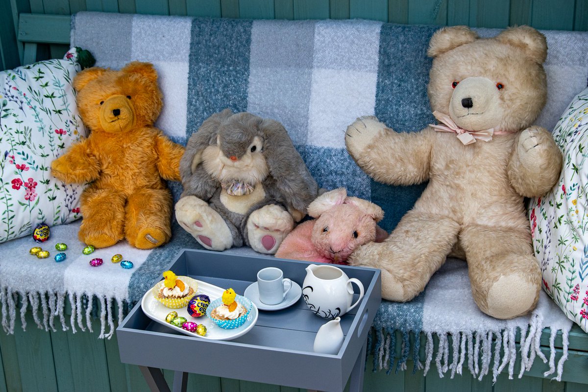 Teddy bear's picnic