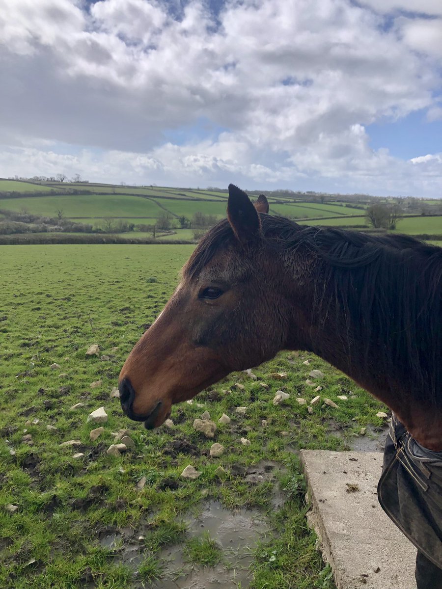 stubo37's tweet photo. I completed the #Cowbridge to #Colwinston Slow Way today. Mixed day with weather and highlights included #Llanblethian Church, #Llysworney village green and Colwinston. Definitely worth doing as it passes 4 pubs in 4 miles! #PubCrawl #VillageGreen #SlowWays https://t.co/iJxE35YgO4