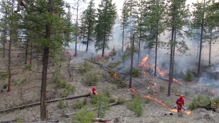 Last year’s wildfire season marked BC’s most destructive on record. Drs. Lori Daniels and Mathieu Bourbonnais from @UBCForestry and @fos_ubco discuss the outlook for wildfire season, and how communities can prepare for a challenging year: bit.ly/3PGgKw2 @ubconews