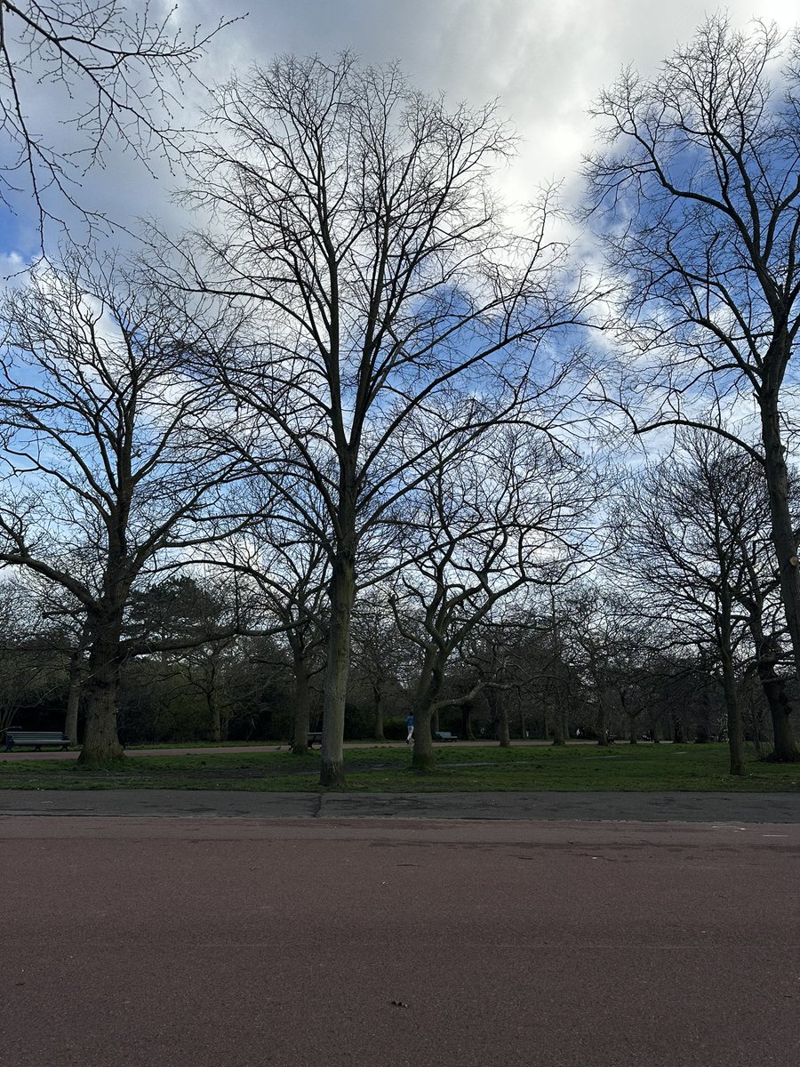 kikamenn's tweet photo. In the same way we don’t throw litter in @Royal_Greenwich Greenwich Park, there should be limits to noise pollution. The fair in Blackheath is ruining the park this weekend! https://t.co/LS7HhRl8Da